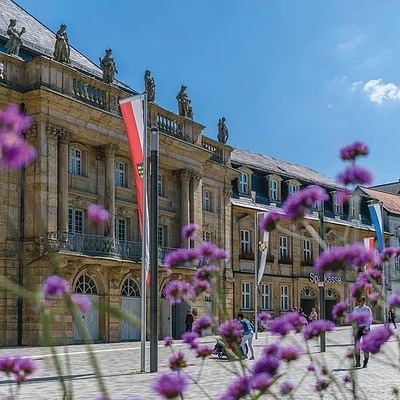 Lila Blumen vor einem barocken Prestigegebäude, davor sind Flaggen aufgestellt