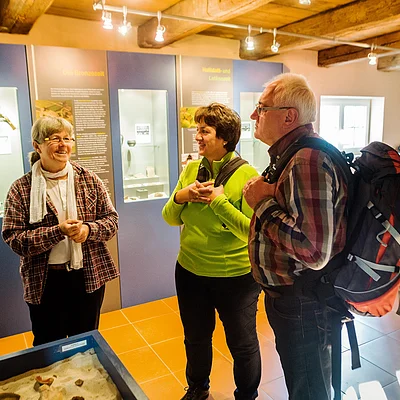 Am Kelten-Erlebnisweg im Archäologischen Museum Gutenstetten