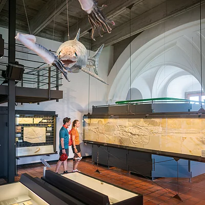 Radlerpause mit Besuch im Jura-Museum