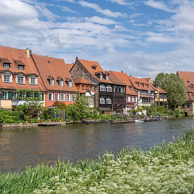 Flussufer mit grünen Pflanzen und historischen Fachwerkhäusern mit roten Dächern unter blauem Himmel.