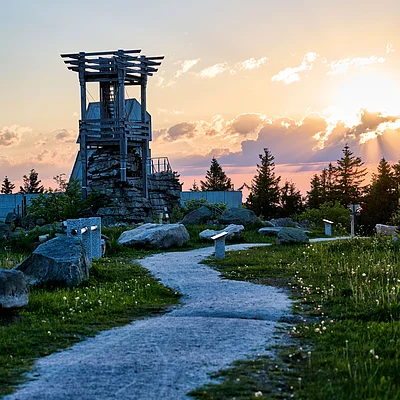Wanderweg mit Steinen und Holz-Aussichtsturm bei Sonnenuntergang, umgeben von Wiesen und Bäumen.