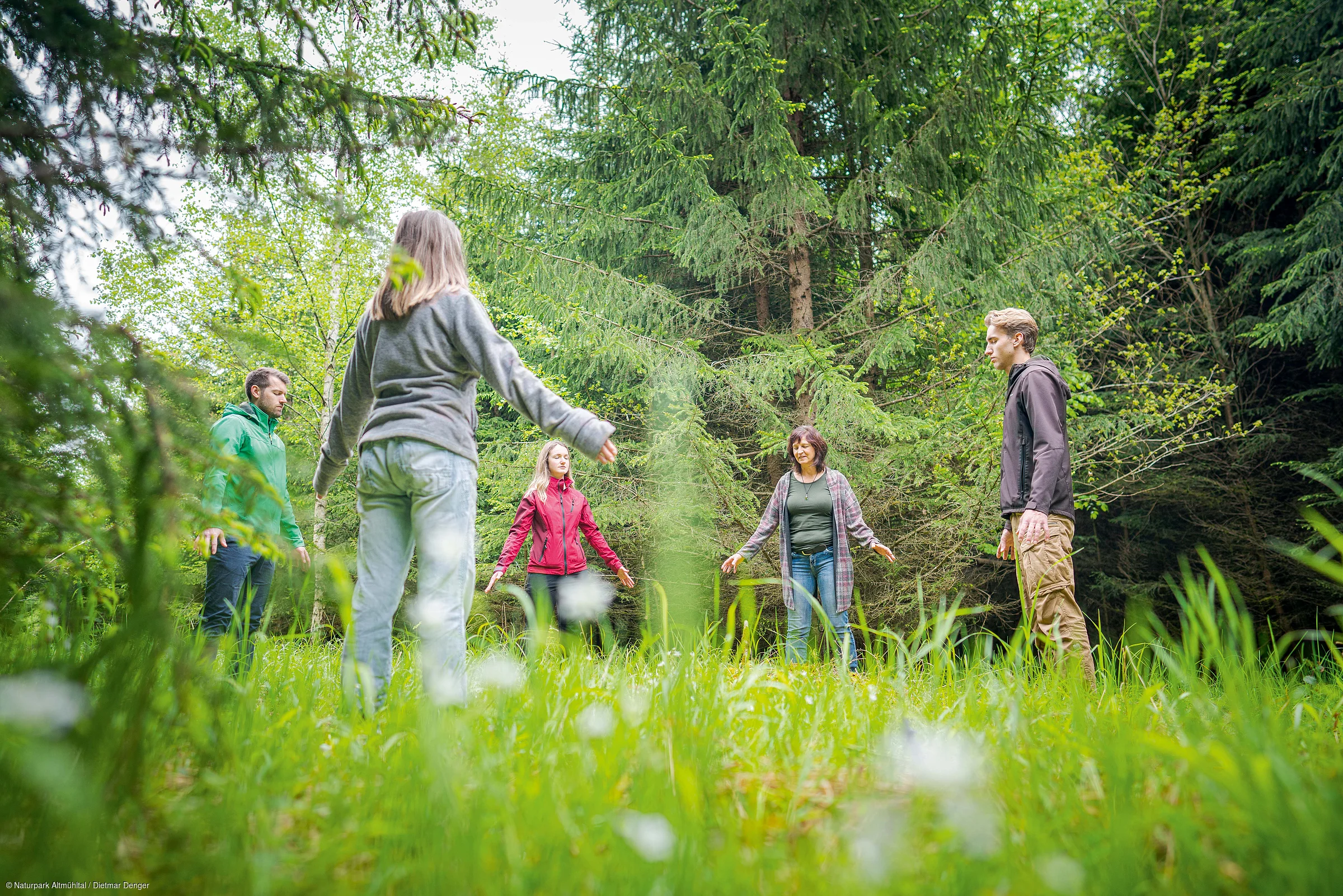 Fünf Personen stehen mit Abstand im Kreis auf einer Wiese vor Nadelbäumen im Wald.