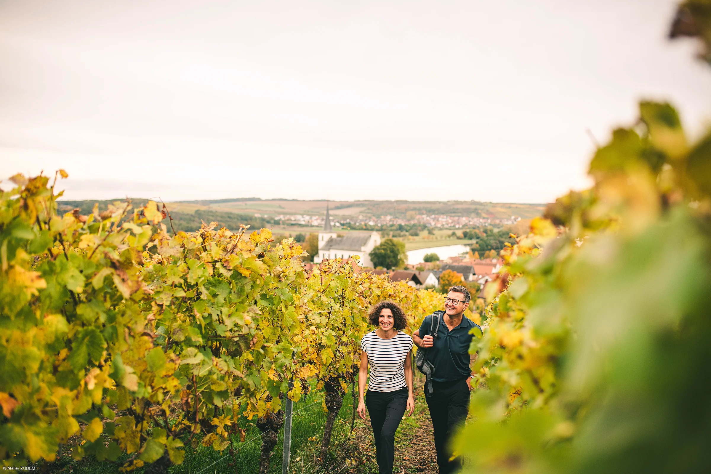 Zwei Personen gehen zwischen herbstlich gefärbten Weinreben auf einem Weg, Dorf und Kirche im Hintergrund.