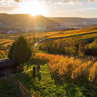 Sonnenuntergang über herbstlichen Weinbergen mit zwei Personen und Hund auf einem Weg neben einer Holzhütte.
