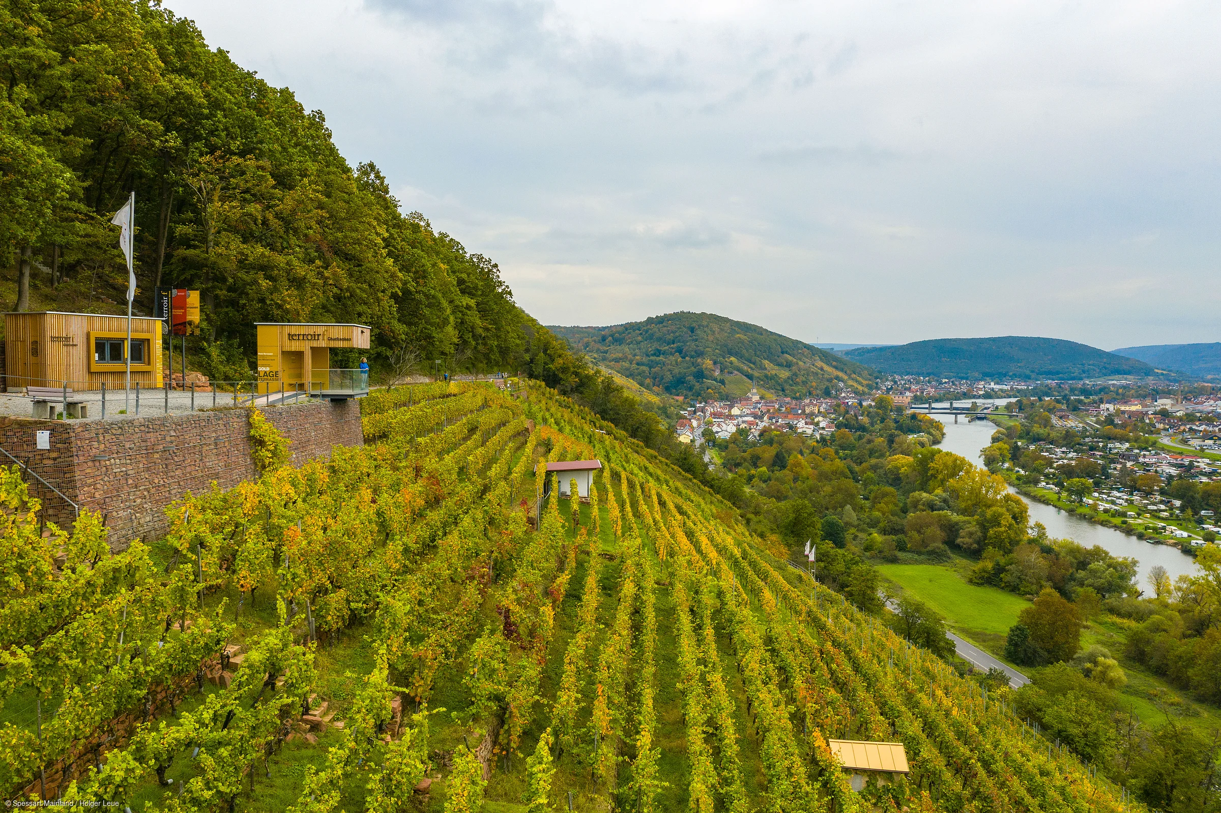 Weinberg an einem Hang mit zwei Holzhäusern, Fluss und Stadt im Hintergrund unter bewölktem Himmel.